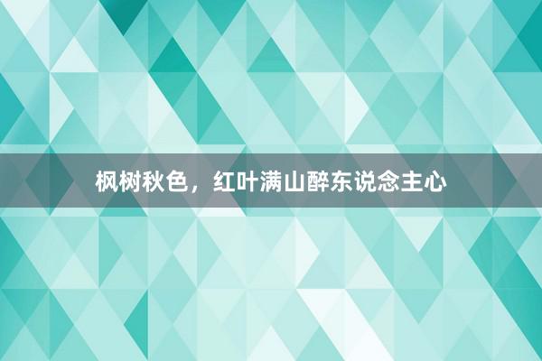 枫树秋色，红叶满山醉东说念主心